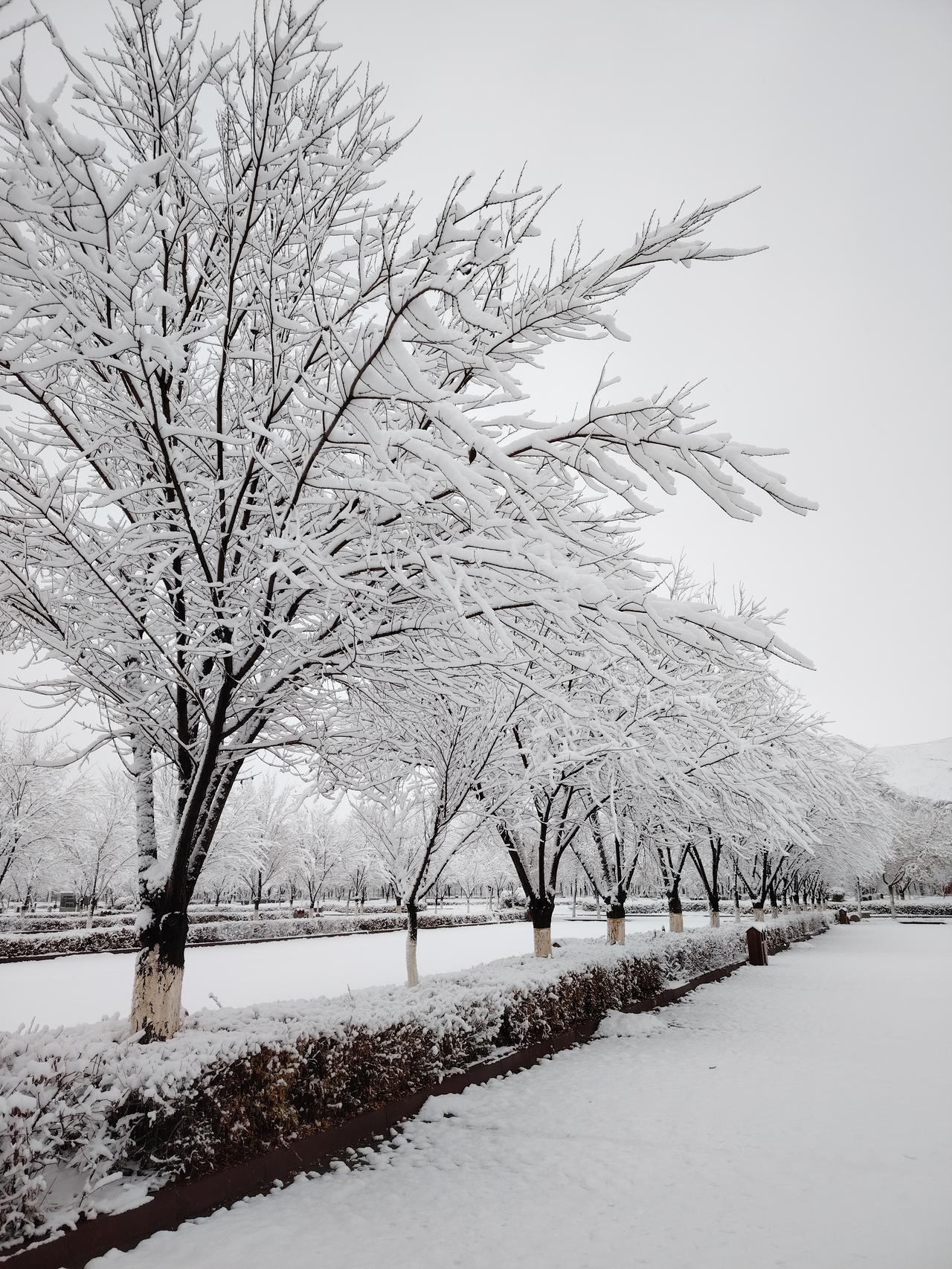 丈夫病亡两天后妻子也离世 安徽淮北这对夫妻的故事太让人唏嘘了。11月1日，52岁