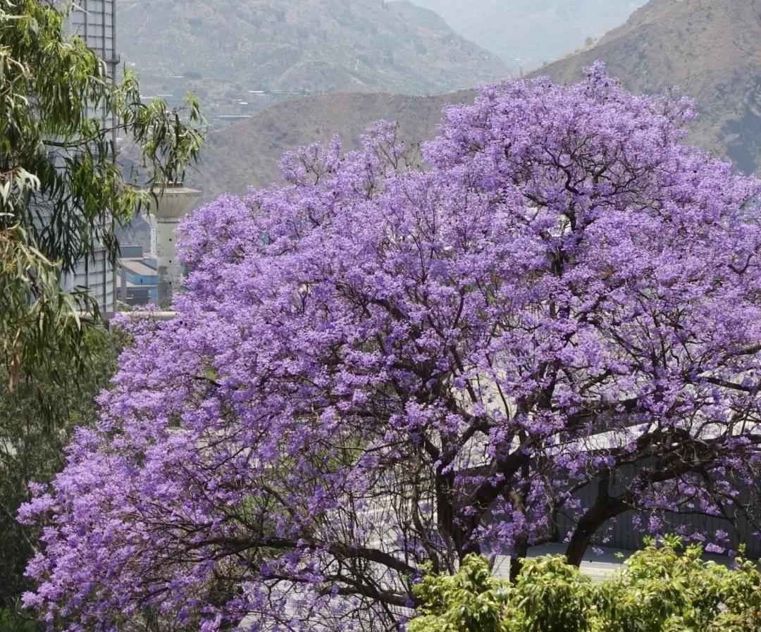 【我们无法控制谁会出现在生命里，也无法改变那些讨厌的人的行为方式，但可以控制自己