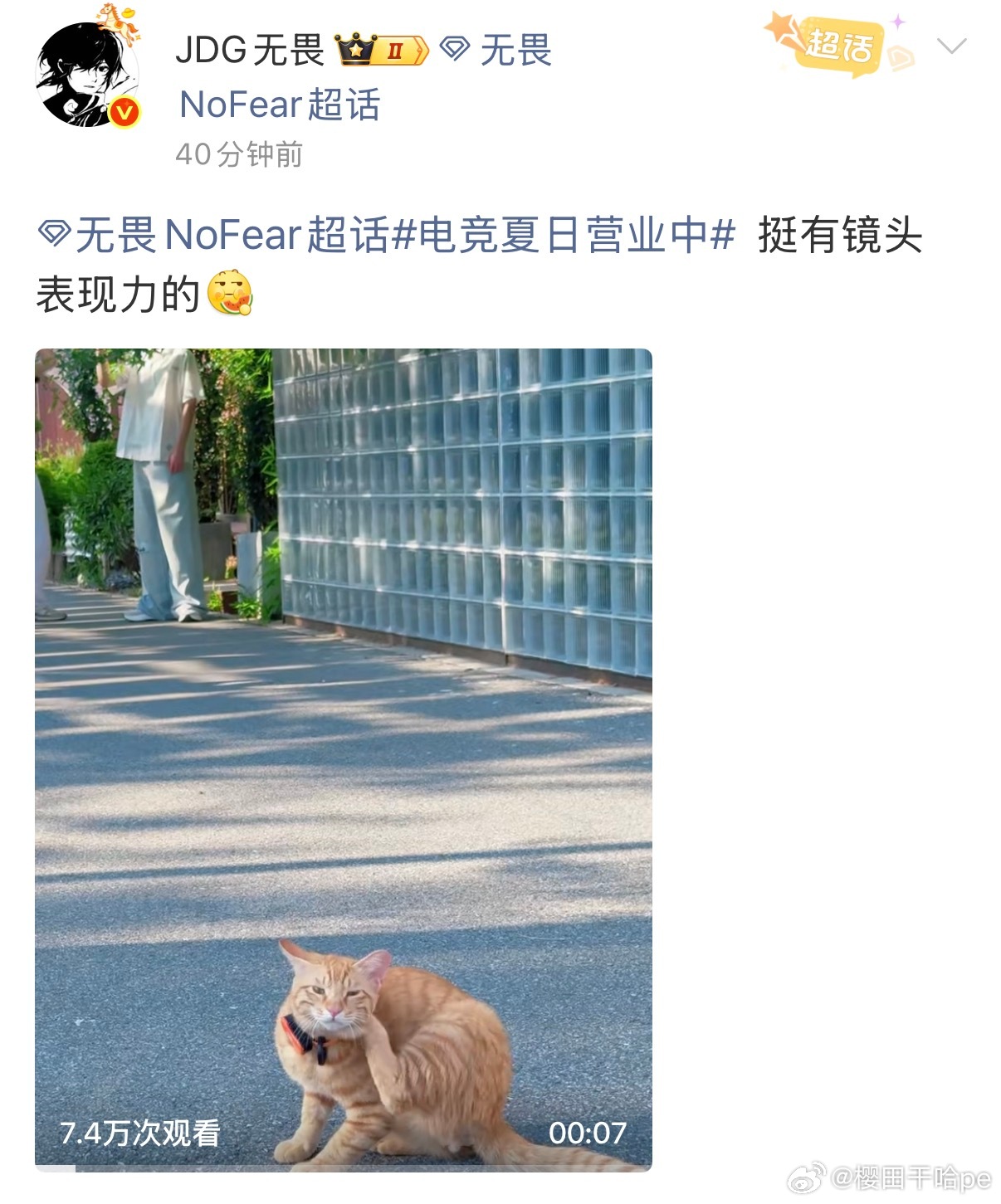 老畏心机 这实则是一集儿童心理学 借咪喻人求夸中 暗示所有人去dy hs把昨天的