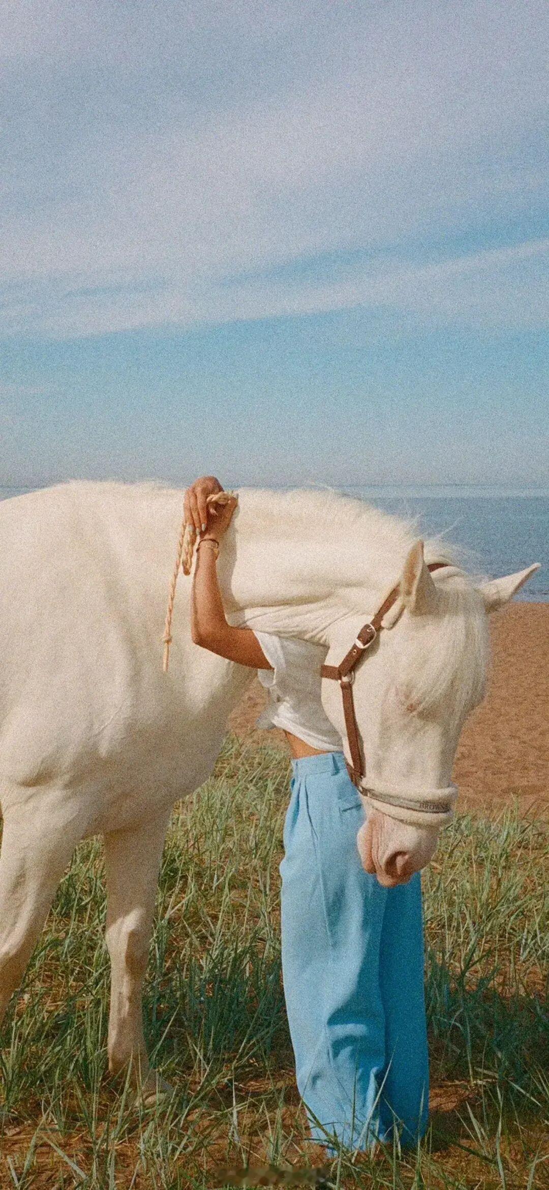 如果真的尘埃落定，那么长夜，请你温柔一点儿。施舍他一寸土地，让他能够平静地合眼，