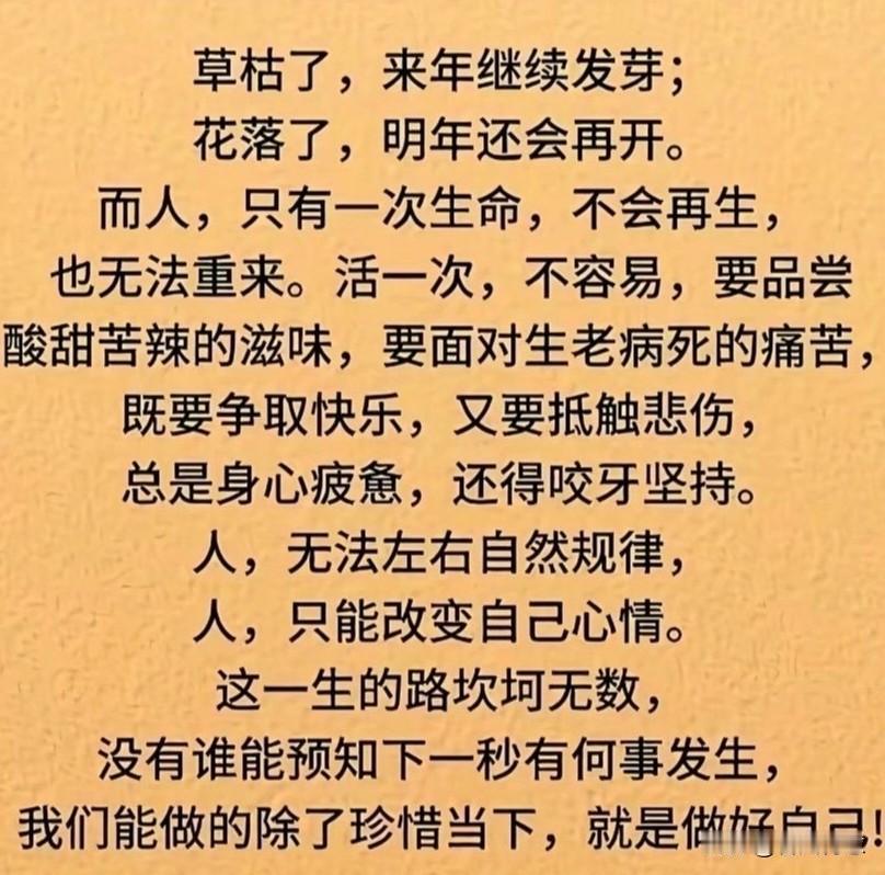 人生不如花草，珍惜当下，笑对风雨！
