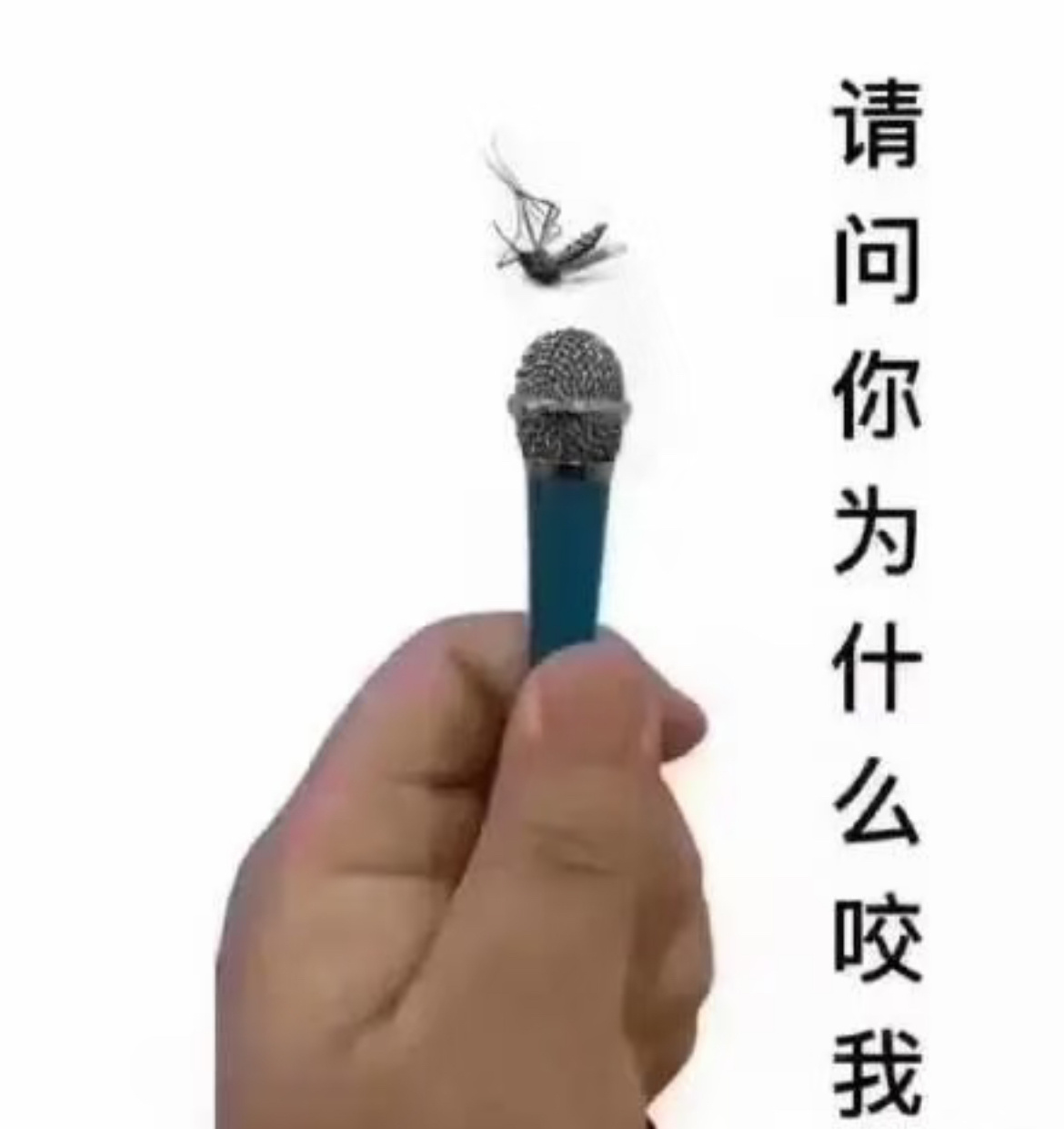 生活手记办公室在底楼的痛苦