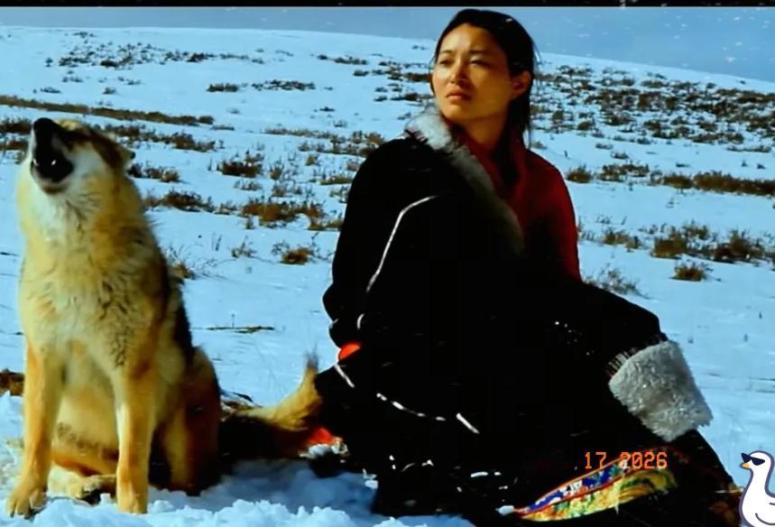 看到李微漪这事儿，真是把我的世俗三观按在地上摩擦。

47岁，不结婚也没娃，就为