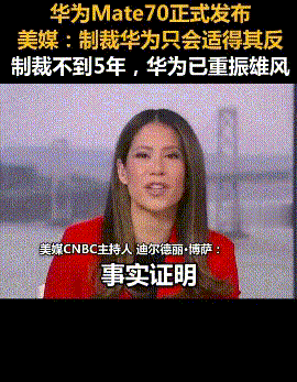 华为的韧性和崛起：对抗制裁的胜利故事
令人瞩目的是，万众期待的华为Mate70正