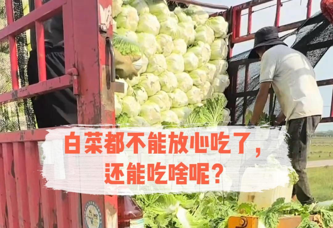 甲醛白菜这事被爆出来，我一点都不惊讶，
因为从很早就听人说过，
这白菜会被泡甲醛
