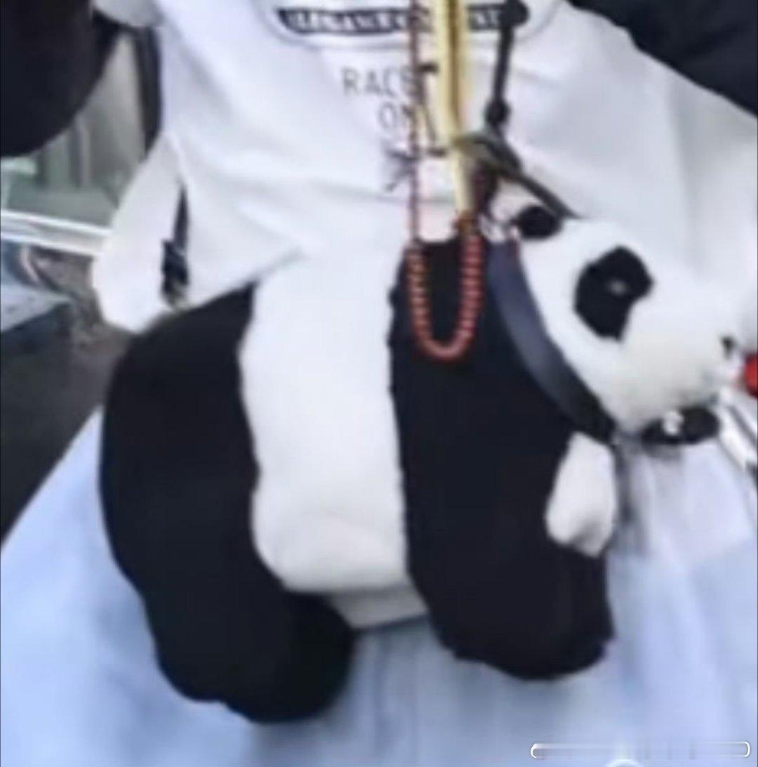 刘宇宁背了个熊猫包 两个萌物！头发一如既往的炸但是挡不住我哥的帅气！背上小熊猫可
