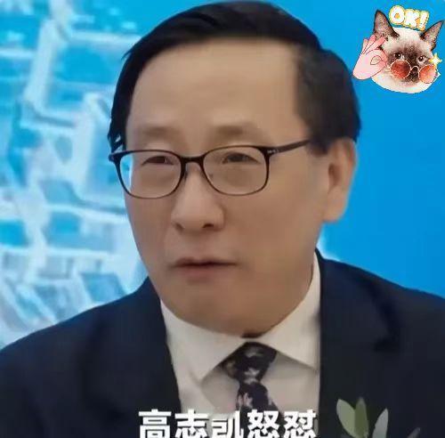 那个瞬间，我鸡皮疙瘩都起来了。
 
BBC的直播间，对面坐着那个逃犯，高志凯就那