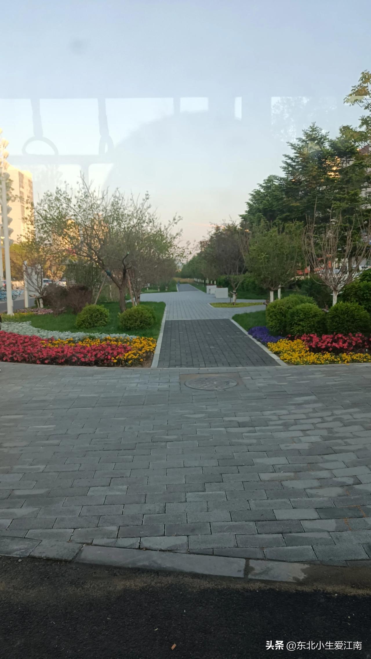 新修的路边的路有点漂亮