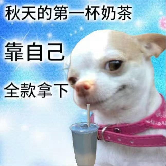 到底谁发明的秋天的第一杯奶茶纠结发明者没有多大意义，这个流行只是刚好契合大家想要