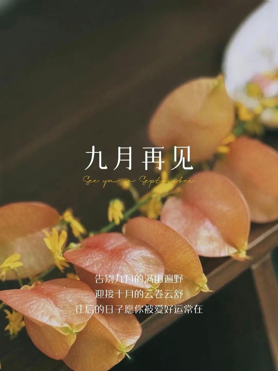 告别九月最后一场凉雨，裹着浸了桂香的风，去赴十月的满山银杏宴。