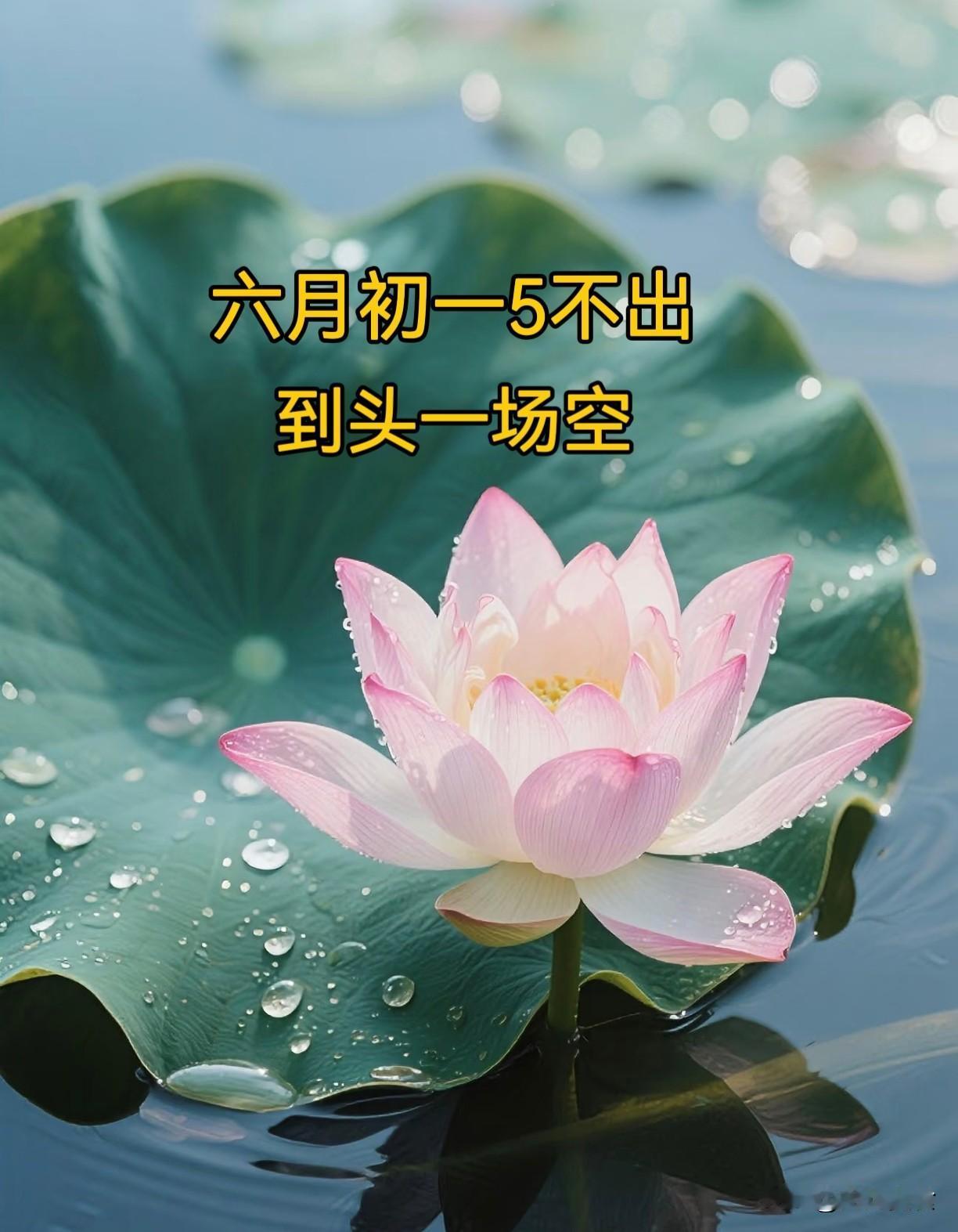 “六月初一5不出，到头一场空”，今日六月初一，5不出是指啥？
 
农历六月初一为