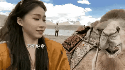学我，你好意思吗？