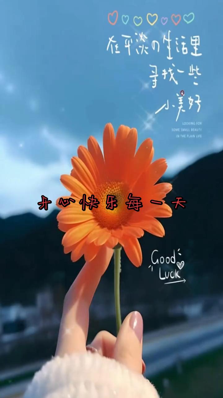 开心快乐每一天，在平淡的生活里寻找一些小美好。