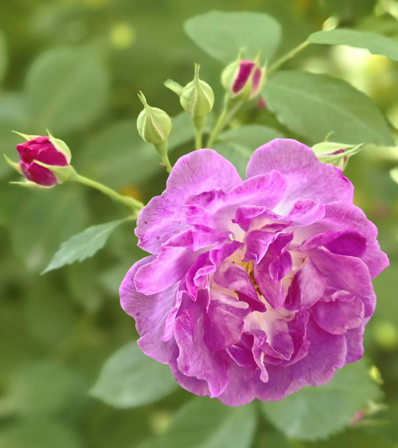 你一句春不晚,

我就到了真江南。