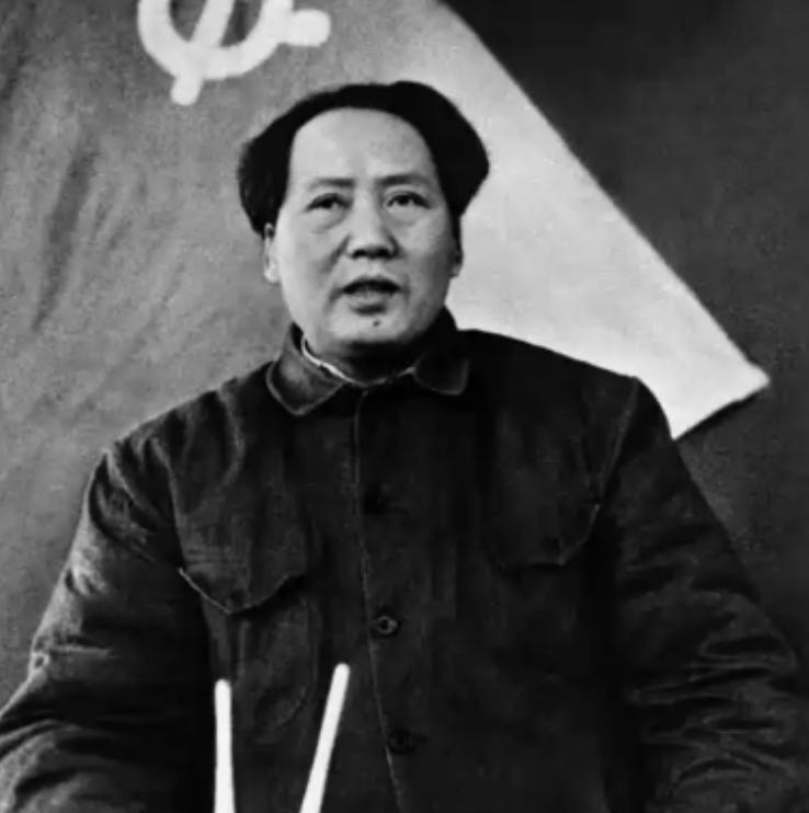 英国学者一语惊醒梦中人：毛主席27年不是搞经济，而是让5亿文盲重获新生，把35岁