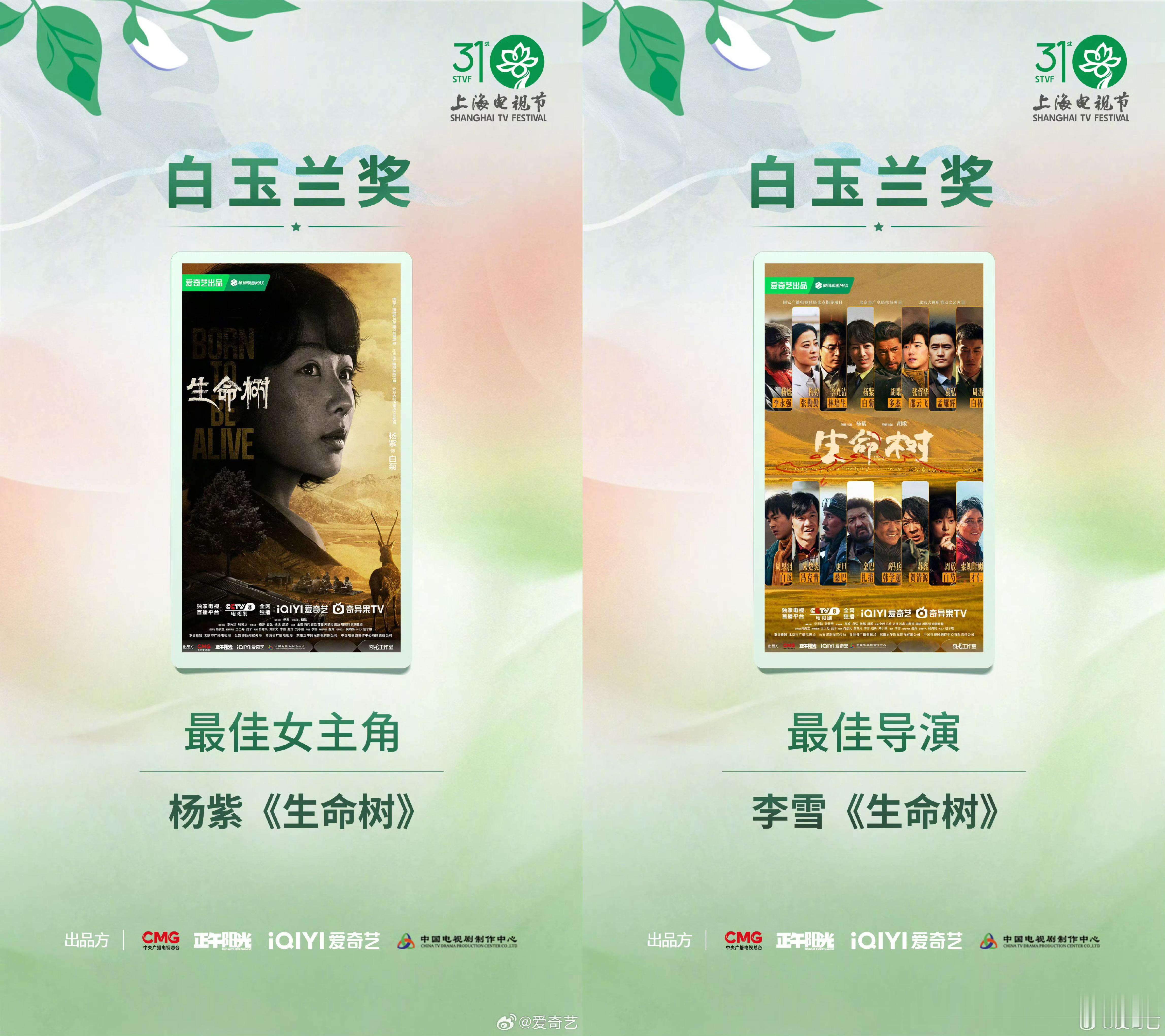 白玉兰最大赢家爱奇艺依托爱奇艺独播的现实大剧《生命树》，杨紫成功斩获白玉兰视后，