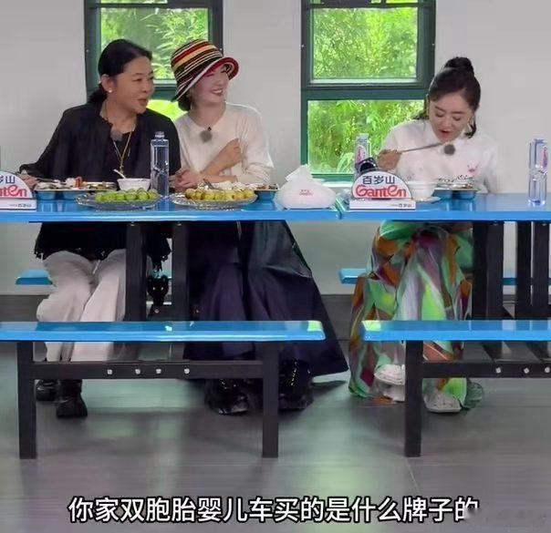 谢娜家双胞胎婴儿车给了撒贝宁家用！ ​​​