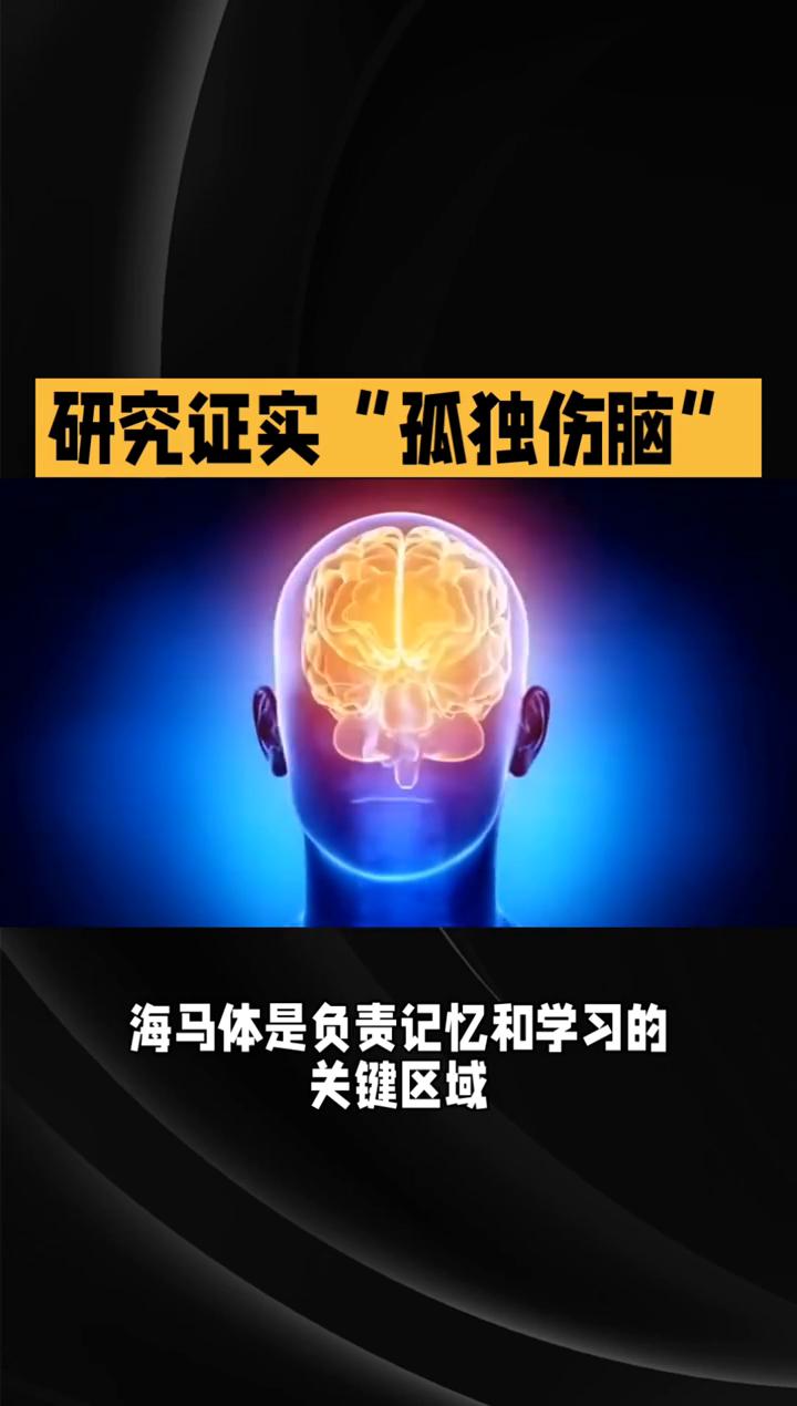 研究证实"孤独伤脑"，别让心灵再"落单"。
今天要探讨一个扎心却重要的话题：孤独