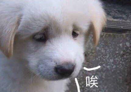 通常，你小时候大人没有为你买、吃、做的东西，长大之后会变成你自己的执念 ​​​