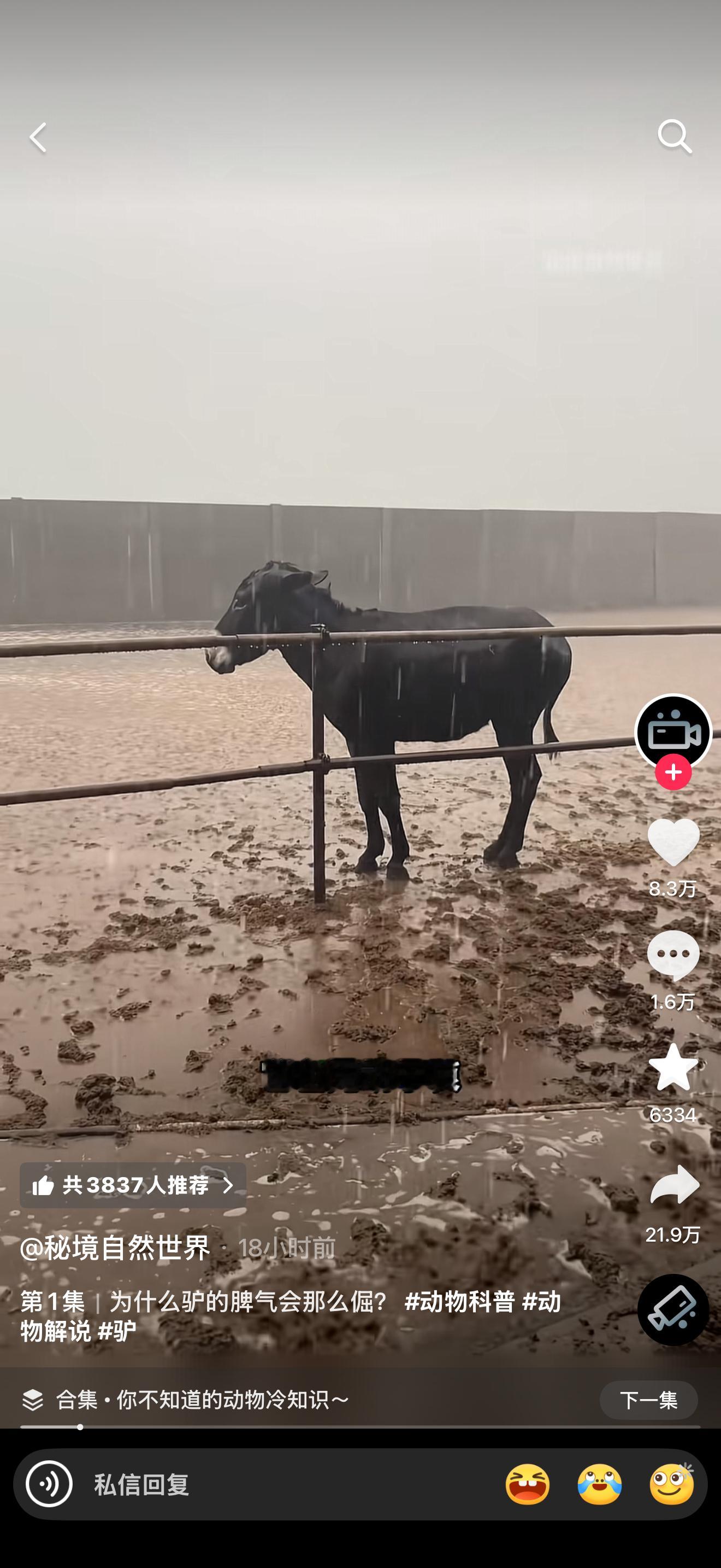 小哥哥你到底受什么委屈了？