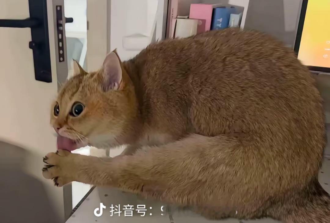 哈哈哈哈 