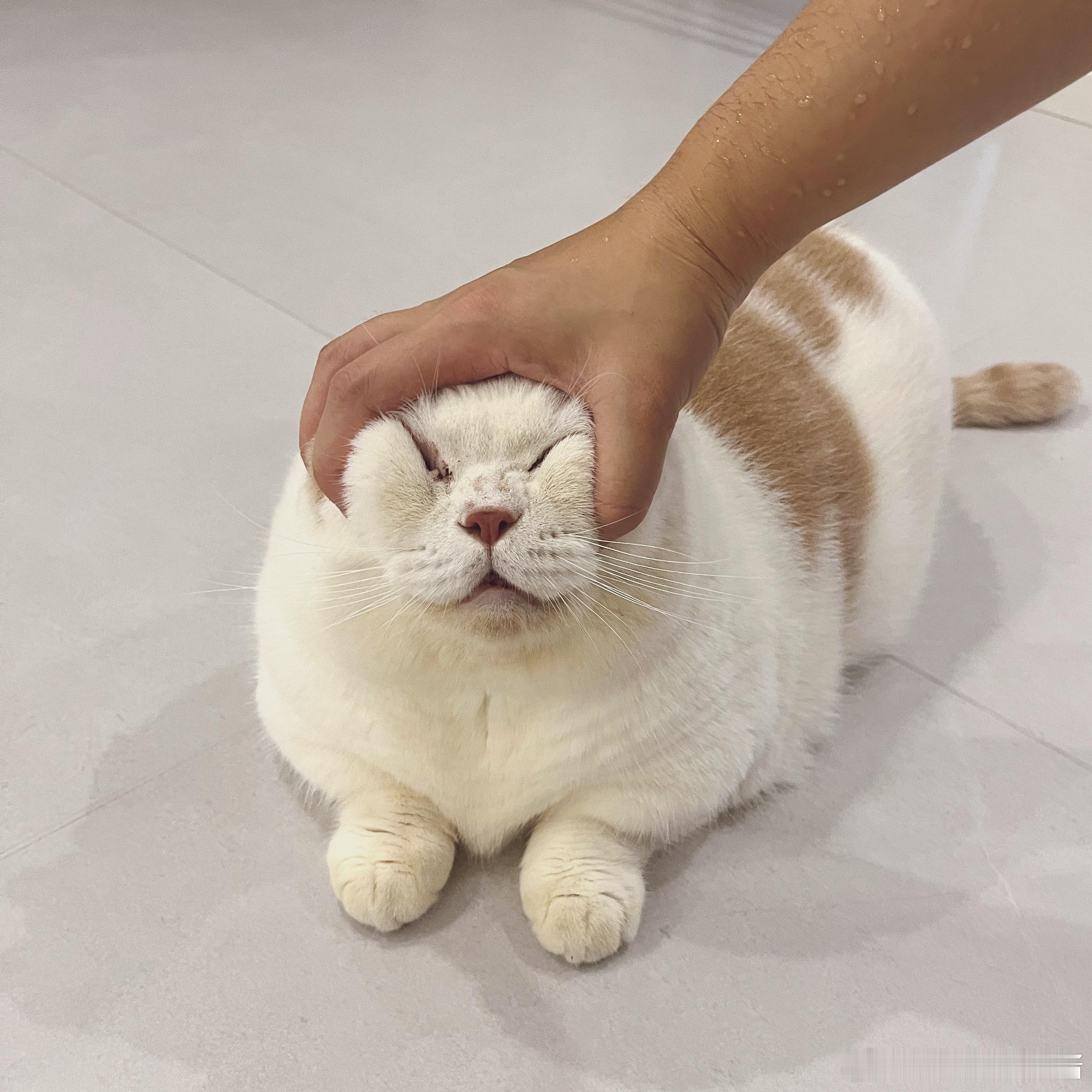 疲惫不堪 ​​​