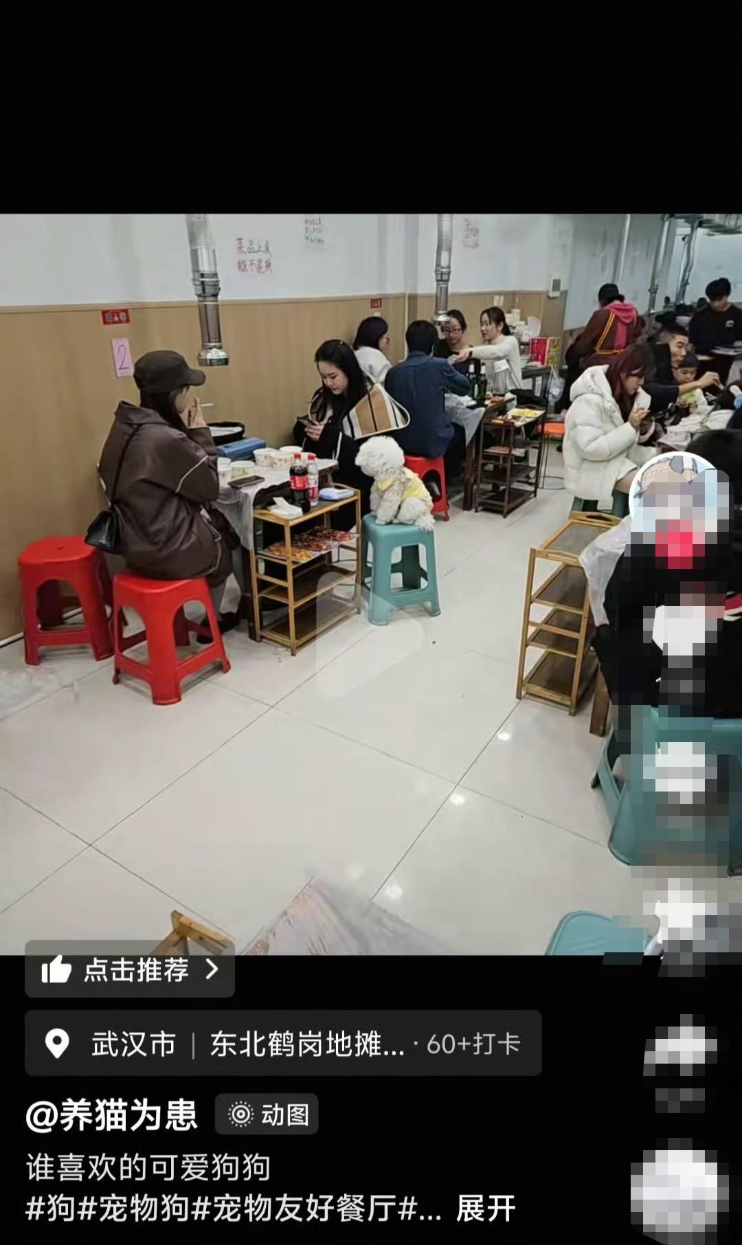 要素全了，室内吸烟，带狗进餐馆[允悲] ​​​