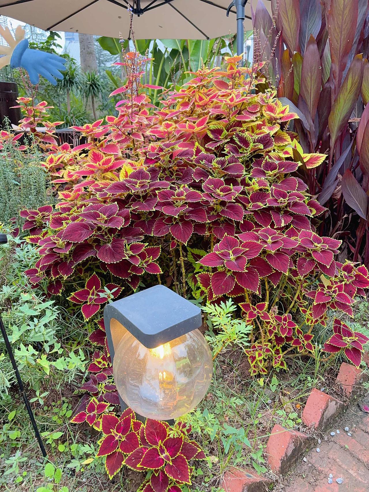 冬日生活打卡季