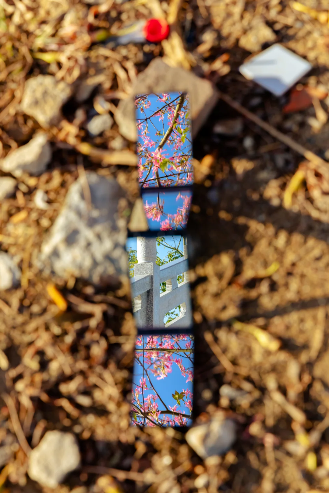 是谁的镜子掉到了地上啊……