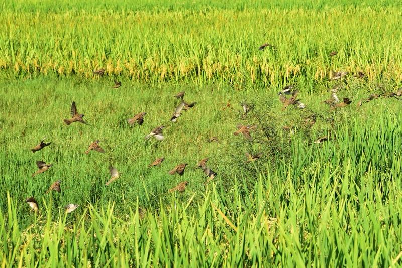 王志文说得很通透：“和周围人搞好关系的秘诀就是：不分享喜悦，不炫耀成功，不说三道