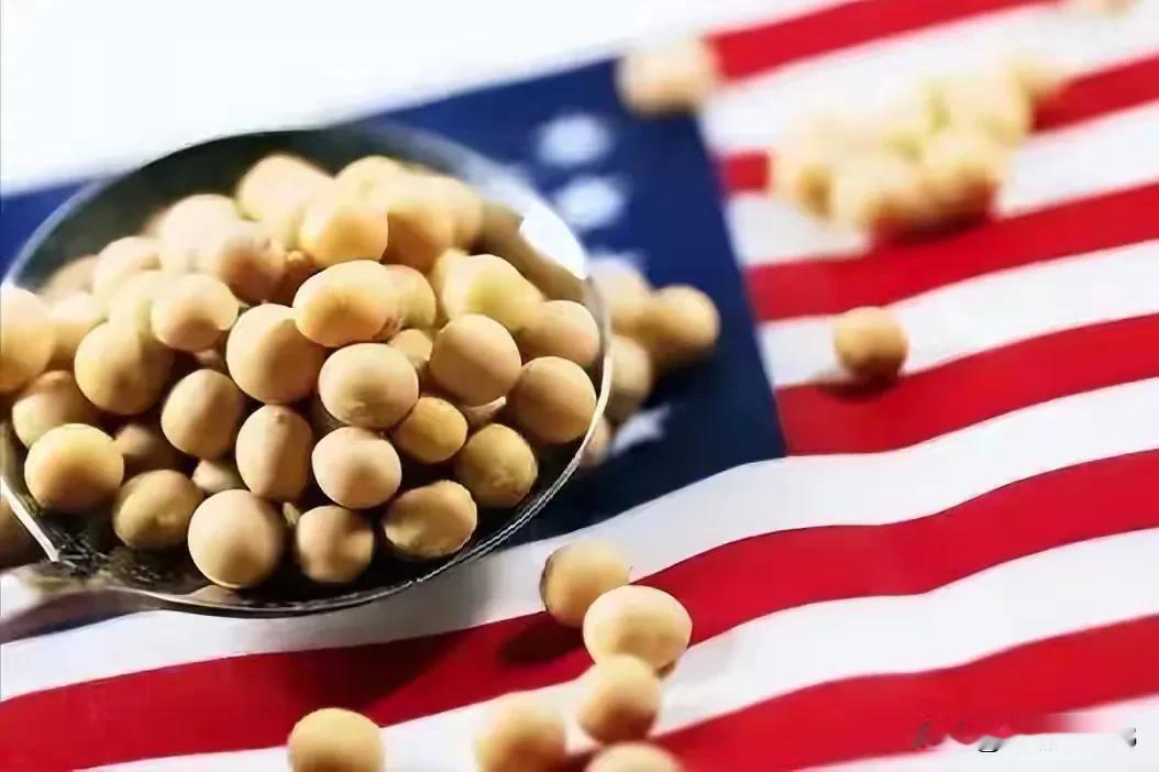 又要买美国大豆了
最利好国内豆农 
老百姓终于可以松一口气 
说，
别老盯着我地