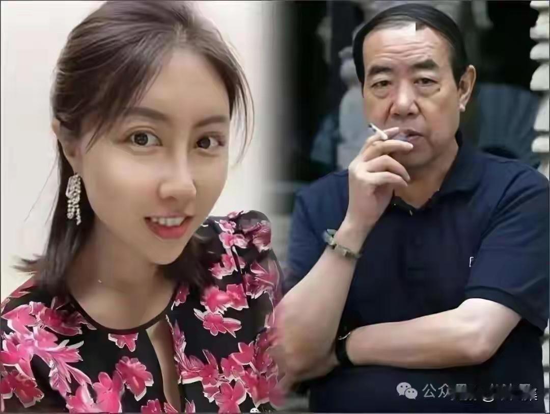 西北大学的副教授贾浅浅这两天可算是把头条捂热了，抄袭似乎板上钉钉了，看来这一次麻