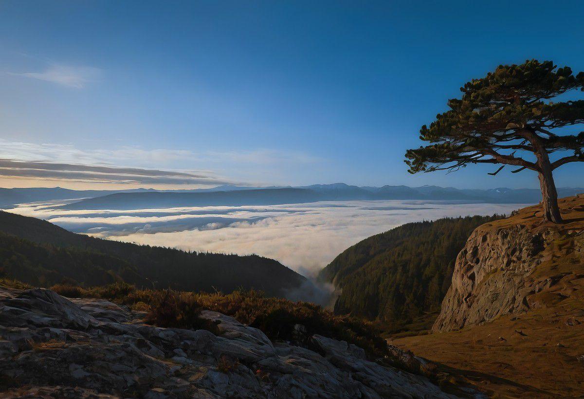 半山腰有座小亭。我坐在石凳上，看雾气在指尖缠绕、消散。忽然想起王维的诗：“空山不