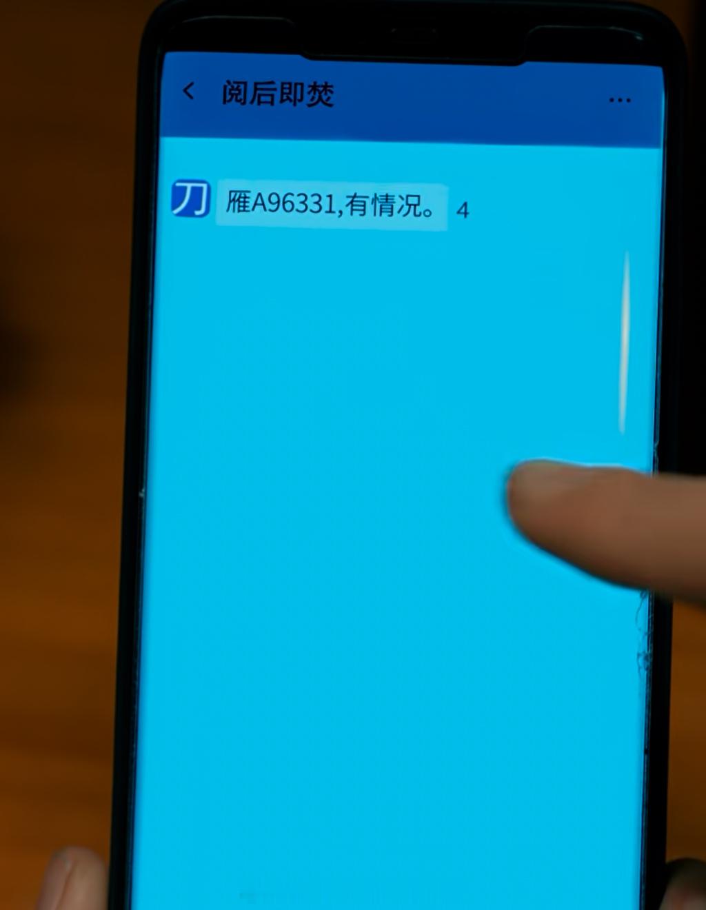 这个阅后即焚系统对我这种六个数的验证码要看三次的人十分不友好！！