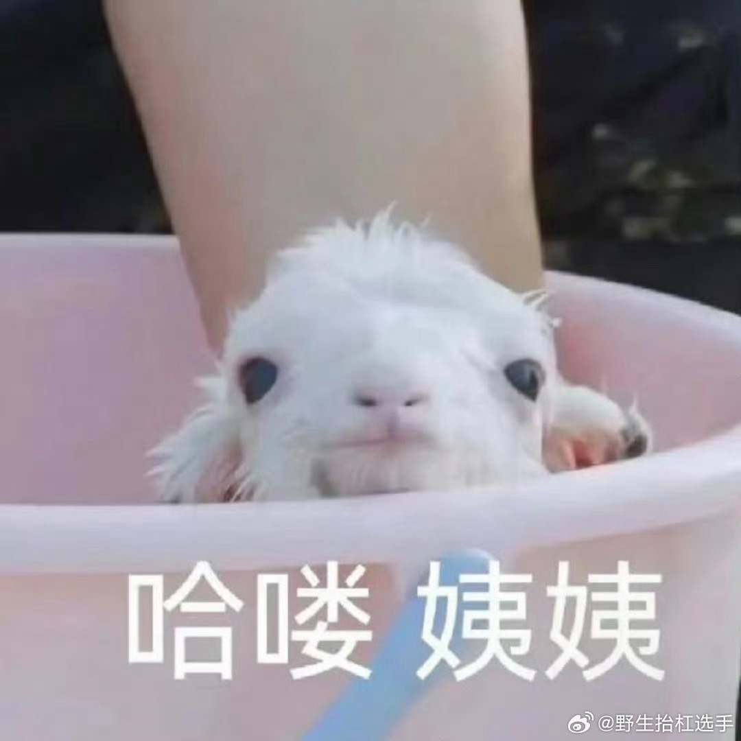 蒋敦豪生日快乐呀晴天每年的春分都是特别的一天，晴天要一直快乐哦，蒋敦豪也永远是最