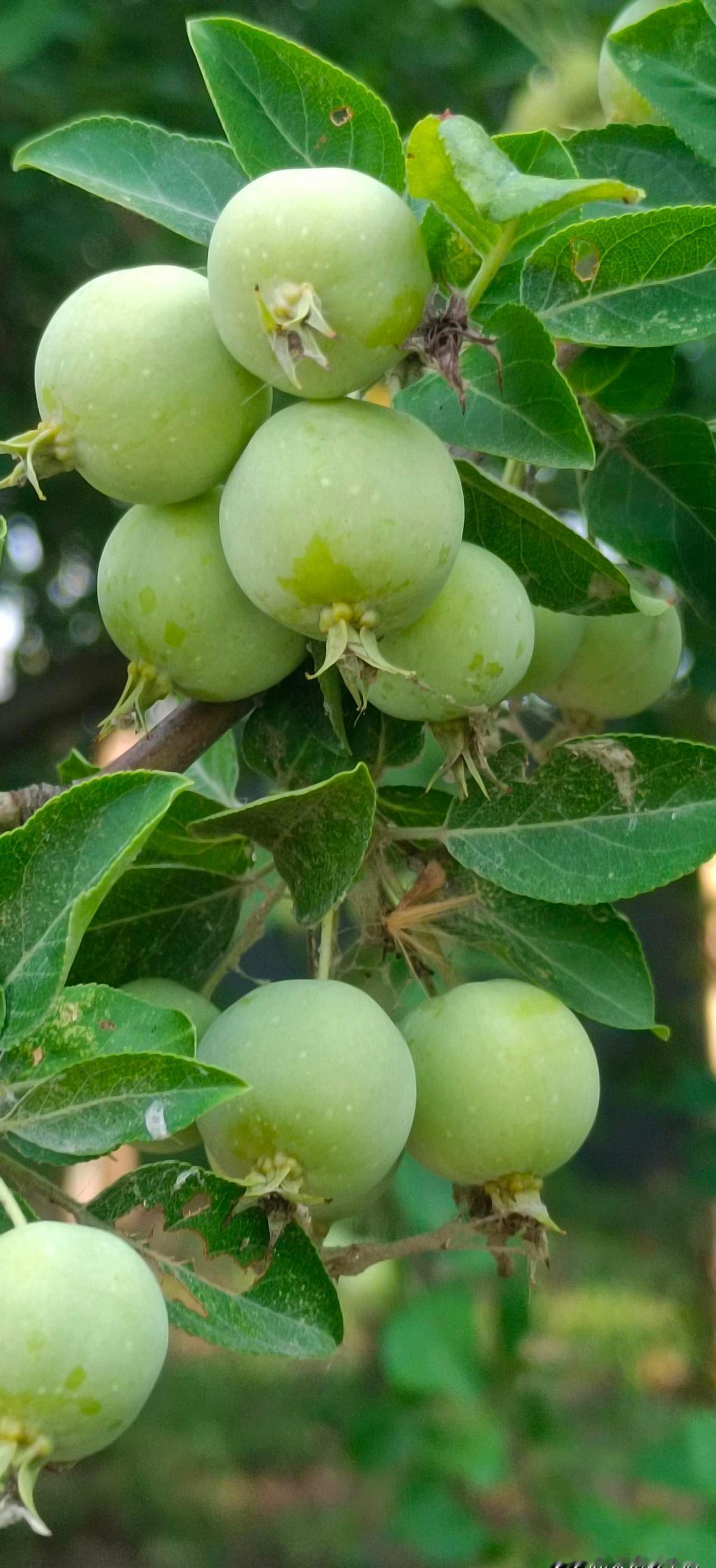 日子过得真快，一眨眼就老了。
一年一晃就没了，一辈子更像一场梦。
别等失去了才后