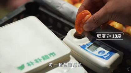 在福建解锁新疆地道甜杏福建人严选的吊干杏福建人严选的吊干杏品质真的没话说，颗颗饱