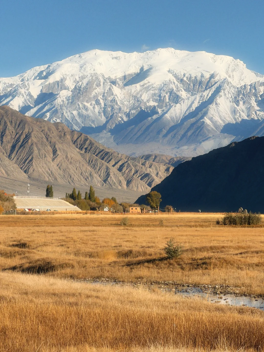 Live |被南疆油画般的秋天震撼到失语‼️