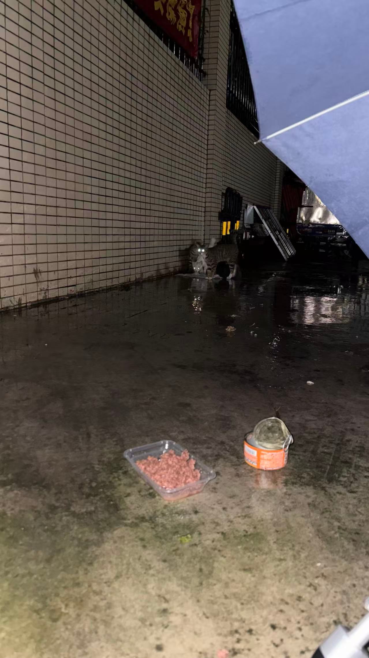 广东的天气真的好癫感觉每天都处在水中。。。