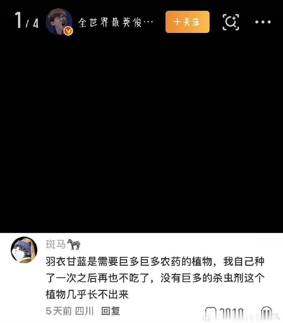 最近，“再也不敢喝羽衣甘蓝了”这种说法，在社交平台上刷了屏。曾经火遍各大奶茶店、