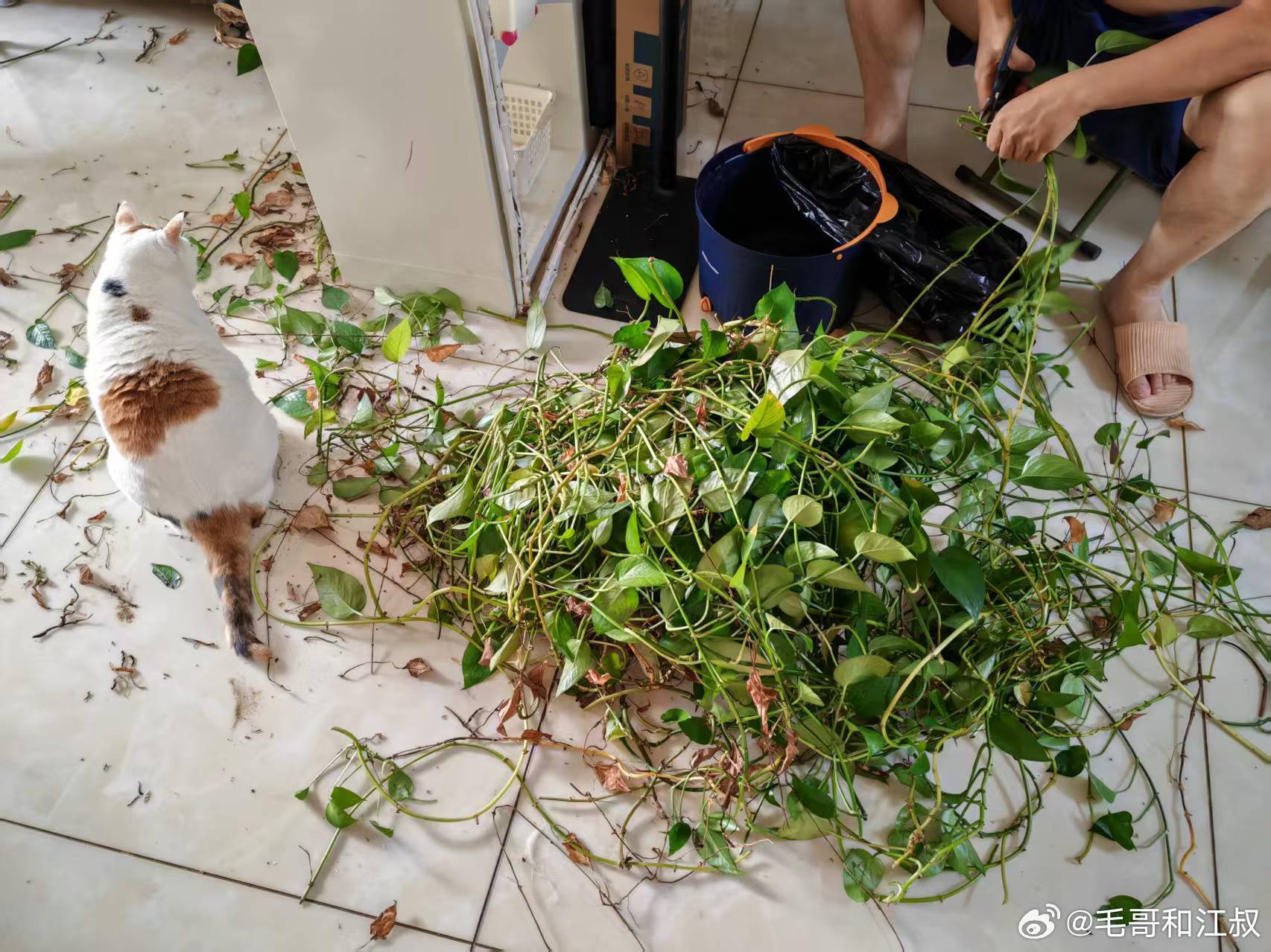 我今天做了一个足以改变未来的决定。根据我的时间记录，自2022年12月21日开始
