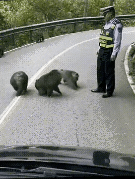 维护景区治安秩序