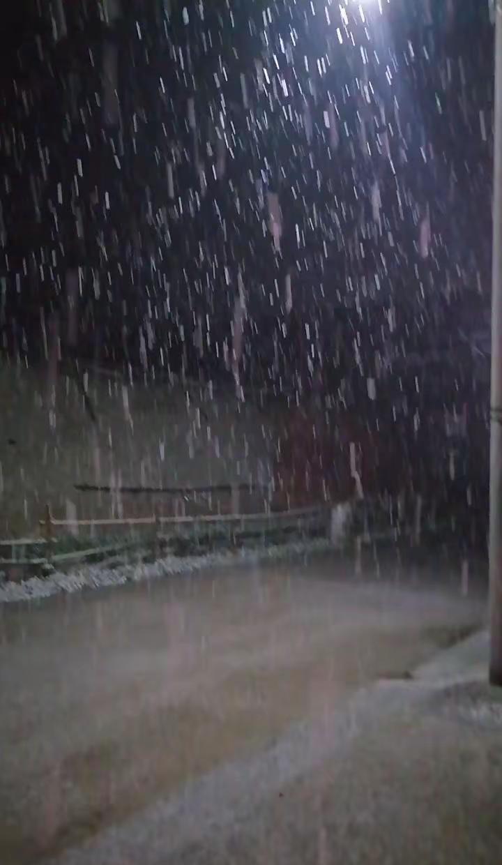河南下雪了！春雪意境绝了。🌨️河南春雪太绝了！四月天飘雪谁懂啊春日限定的雪，像