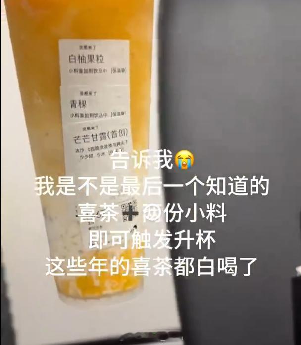喜茶加两个小料就会自动触发升杯 不是...喝了这么多年的喜茶白喝啦可是话说回来俩