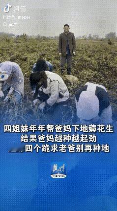 “得寸进尺”！河南商丘，四姐妹年年帮助父母下地薅花生，本想着自己多干点父母就少干