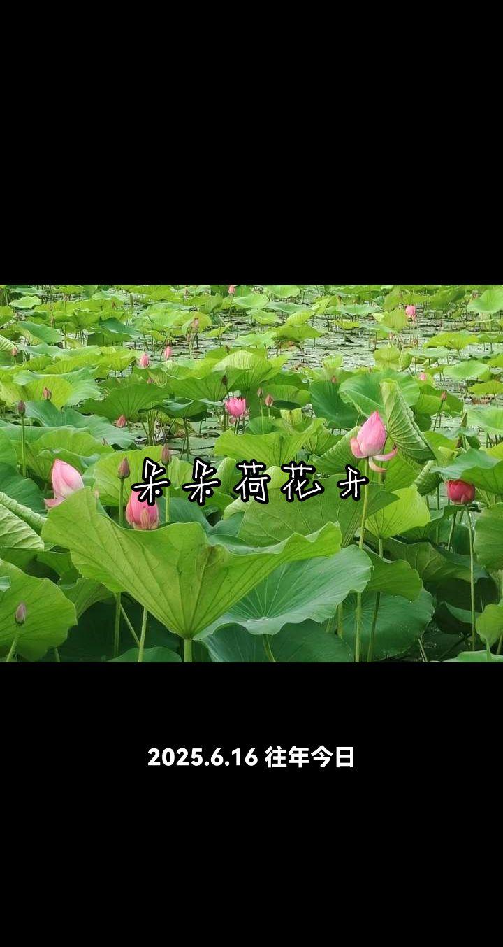 笑对昨天，开心今天，锦上添花待明天，愿你永远健康快乐！