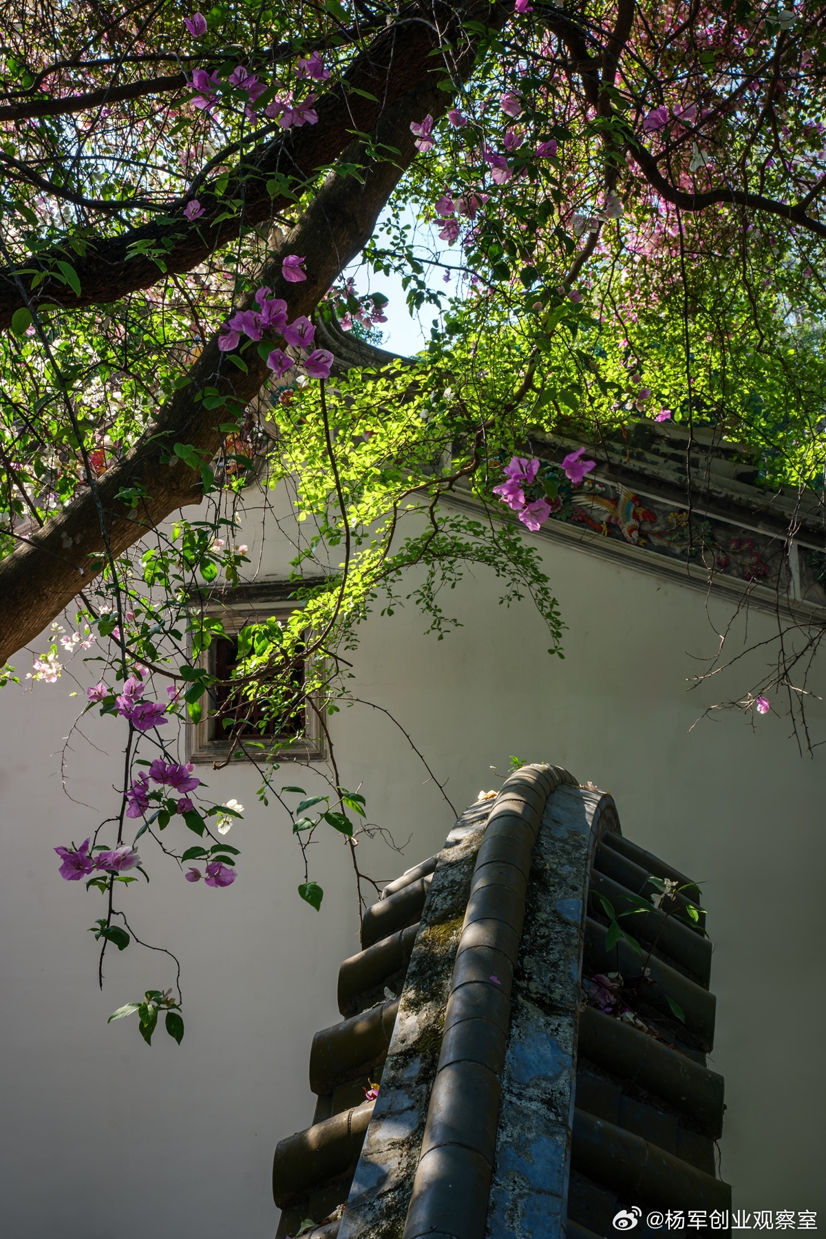 连锁企业不缺融资方式（股权、债权、加盟、DRC…）但多数用错顺序，根源是没想透顶