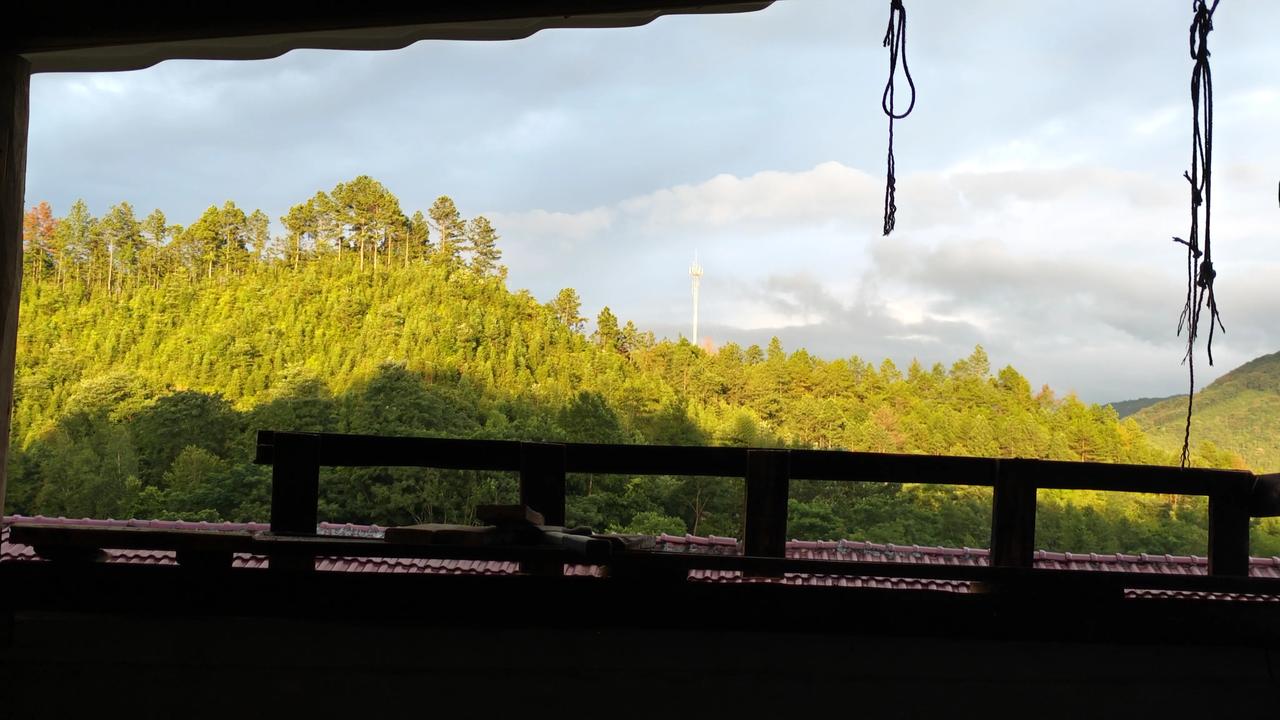 一点点修缮小院，
一点点打磨生活。
新做好的猫舍窗台，
框住整片山林暮色，
猫赏