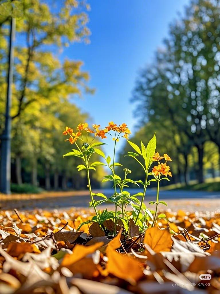 一个女人沉默了，不是懂事，是死心了
一个女人从整天吵闹，变得越来越沉默，不是她变