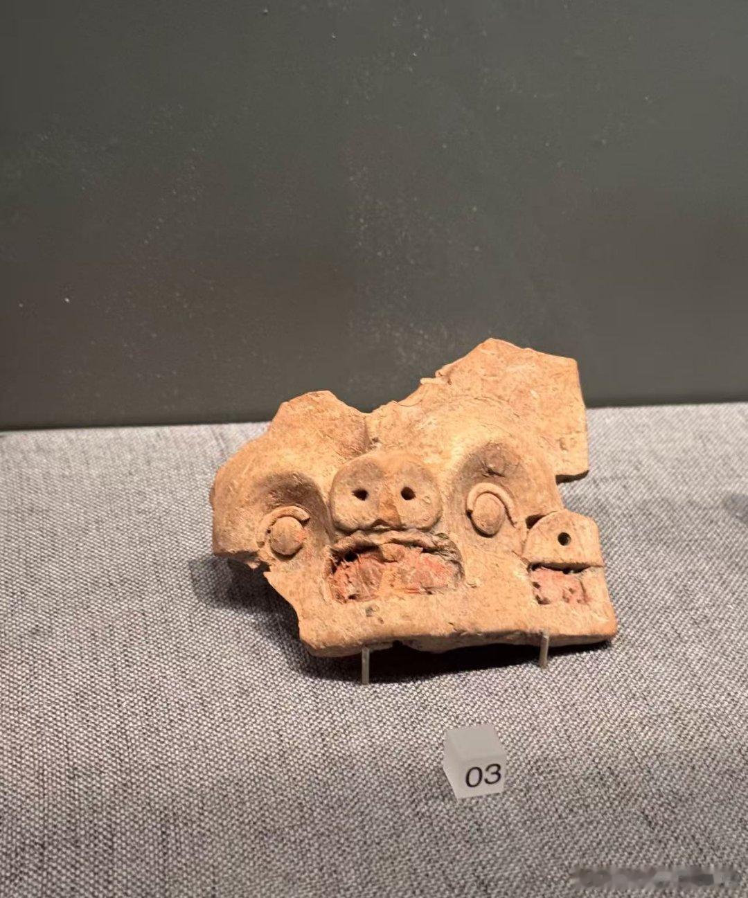 帮猪猪侠补家谱要去博物馆 国庆逛展新任务：给猪猪侠补家谱！在博物馆见到神似的小猪